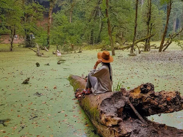 تور سافاری دریوک