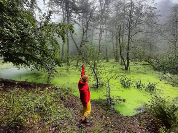 تور سافاری دریوک