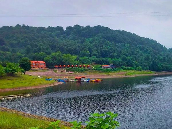 شیاده