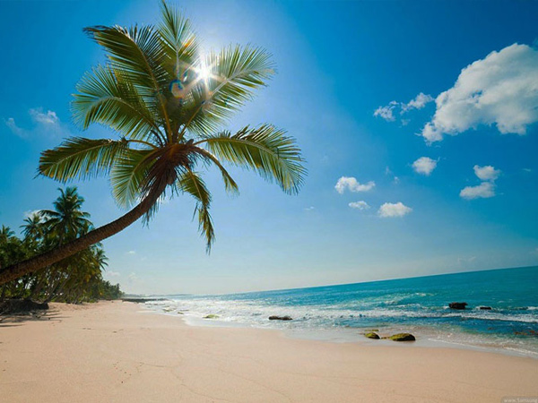 تور هوایی کیش